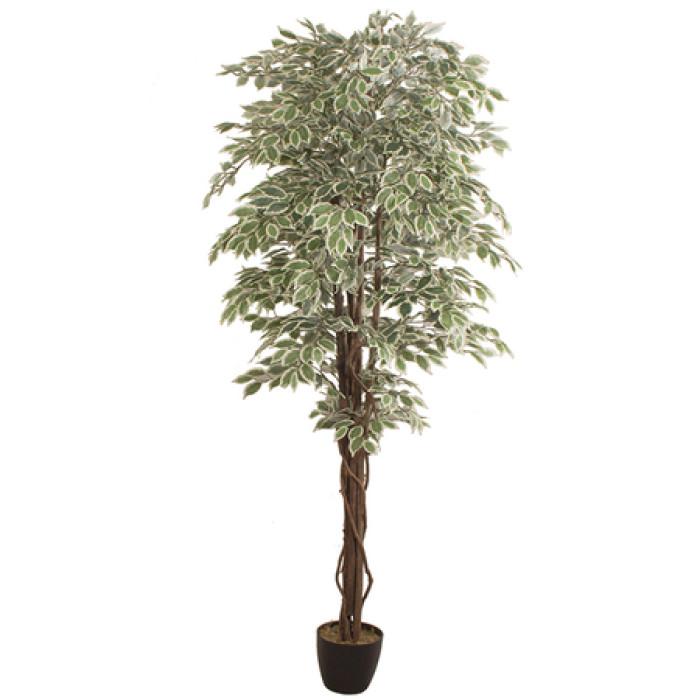 Planta artificial FICUS 2.40m